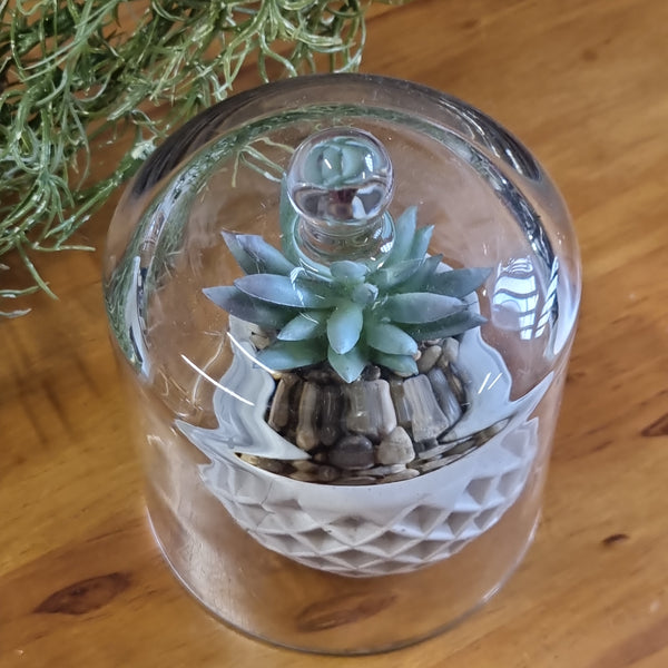 Cloche - Glass Small  GCS .