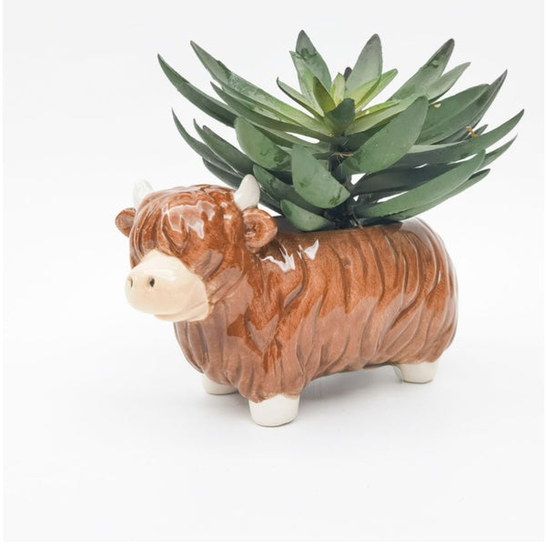 Planter Highland Cow 2 sizes PHC