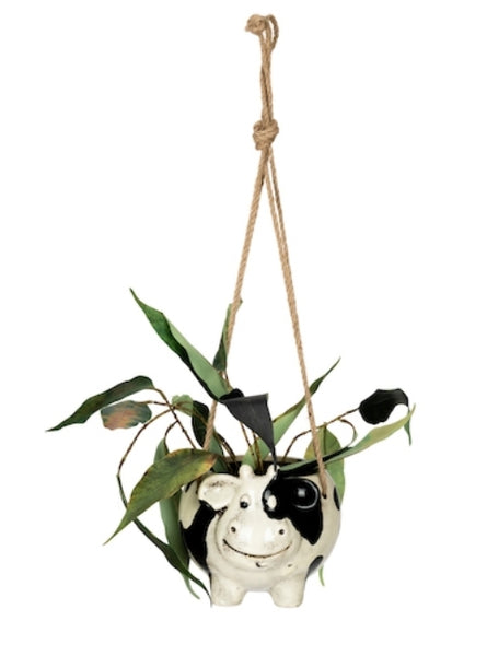 Hanging Pot Assorted HPA