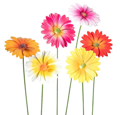 Mother&#39;s Day