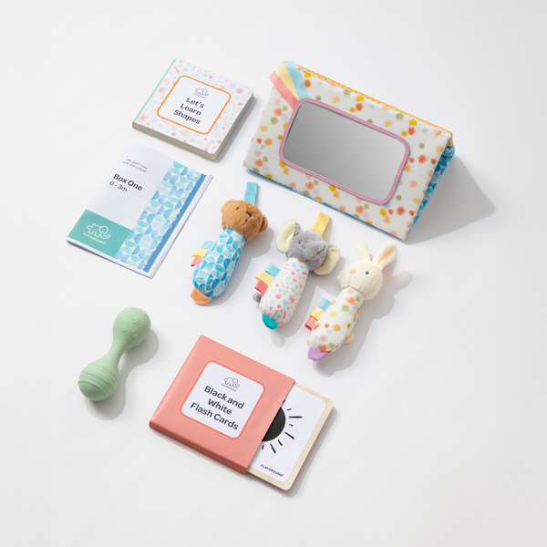 Playground Box 1: Hello World (0-3M)