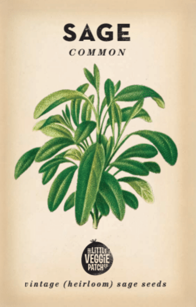 SEDDS - Sage 'Common' Heirloom Seeds SSC