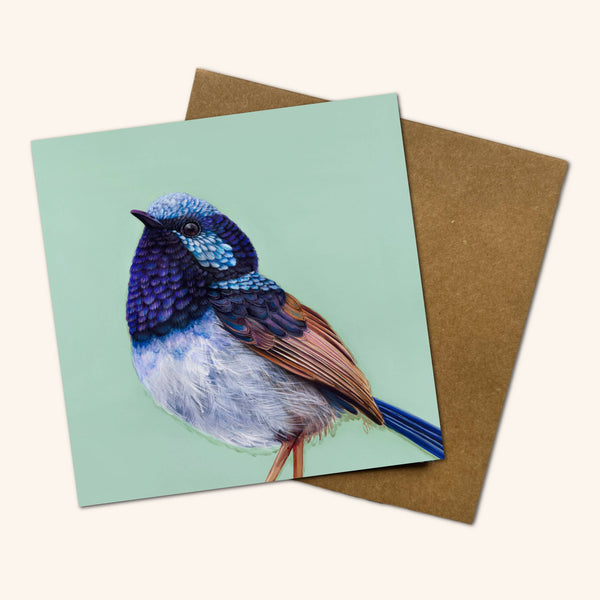 Australian Birds - Pip the Superb Fairy Wren Greeting Card JHP 💚