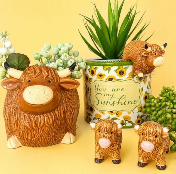 Pot Sitter Highland Cow