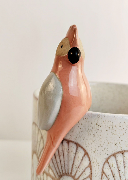Pot Sitter Galah