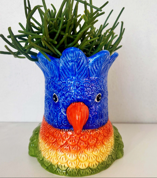 Planter - Lorikeet PLK