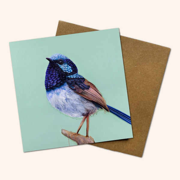 Pip the Superb Fairy Wren Greeting Card JFW 💚