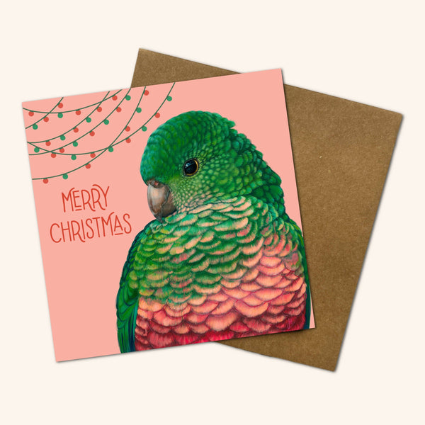 Queenie the King Parrot Christmas Card JHQ 💚