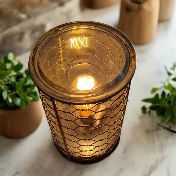 Chicken Wire Edison Bulb Illumination Warmer CWCW 💚