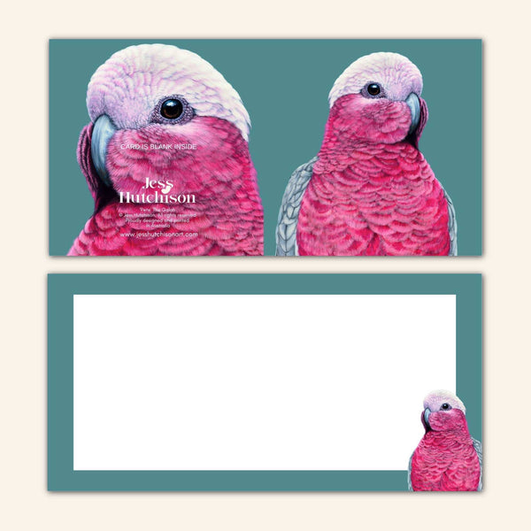 Pete the Galah Greeting Card PGG 💚