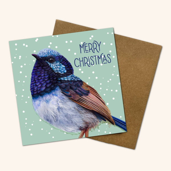 Pip the Superb Fairy Wren Christmas Card JHF 💚