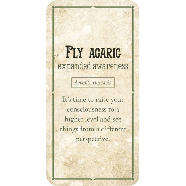 Mushroom Affirmation Cards MHAC