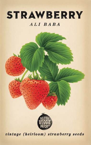 SEEDS - Strawberry 'Ali Baba' Heirloom Seeds SSB