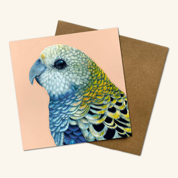Finley the Pale Headed Rosella Greeting Card PHR 💚