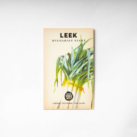 Seeds - Leek 'Giant Bulgarian" Heirloom Seeds 2024