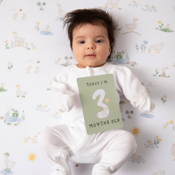 Milestone cards - Goosey Goosey MCG