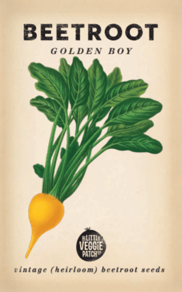 SEEDS - Beetroot 'Golden Boy' Heirloom Seeds BGB