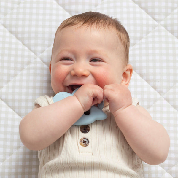 2pk Silicone Teether - Whale & Cloud STW