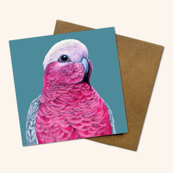 Pete the Galah Greeting Card PGG 💚
