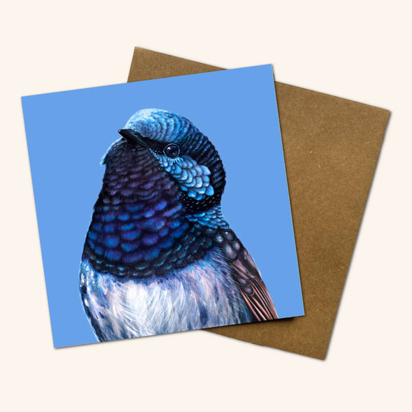 Bobby the Superb Fairy Wren Greeting Card JSW 💚
