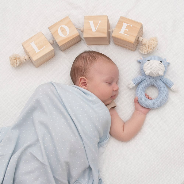 Gift Set - Jersey Swaddle & Rattle - Blue Dots/Hippo GSBH .