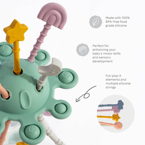 Pull String Interactive Toy - Dusty PTD