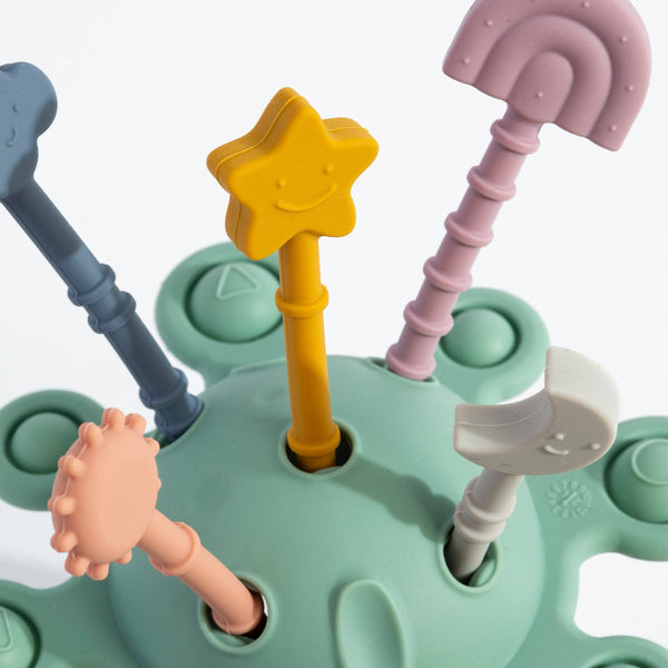 Pull String Interactive Toy - Dusty PTD