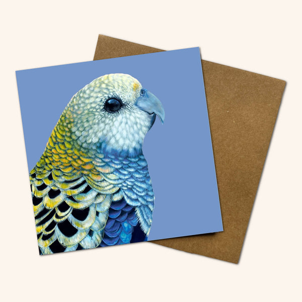 Finley the Pale Headed Rosella Greeting Card FPH 💚
