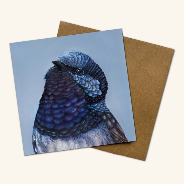 Australian Birds - Bobby the Superb Fairy Wren BXF