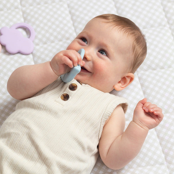 2pk Silicone Teether - Whale & Cloud STW