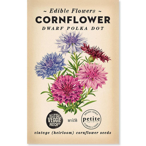 Seeds - Cornflower "Polka Dot" Heirloom seeds 2024