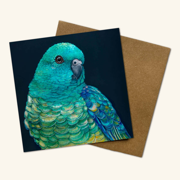 Australian Birds - Banjo the Red Rumped Parrot Greeting Card BRC