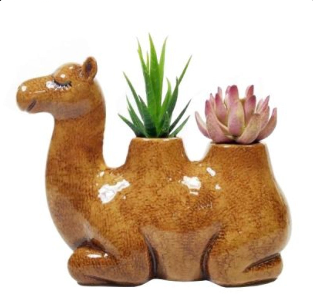 Planter - Camel PCP