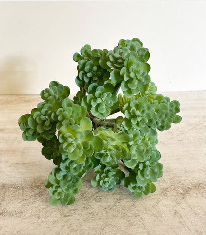 Faux Greenery - Stonecrop FGS