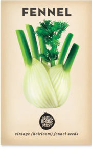 Seeds - Heirloom Seeds - Fennel VFS 2024