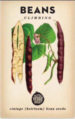 Seeds - Heirloom Seeds Beans Climbing BCV 2024