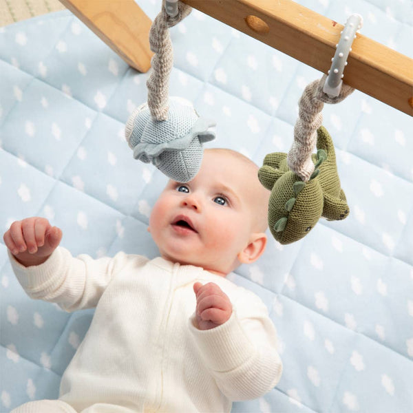 2pk Stroller Toy - Dinosaurs STD