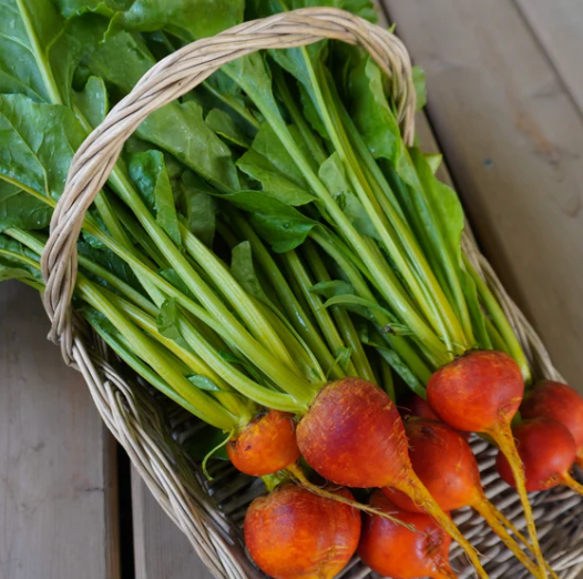 SEEDS - Beetroot 'Golden Boy' Heirloom Seeds BGB