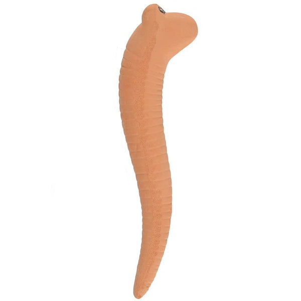 Large Willy the Terracotta Worm WTW