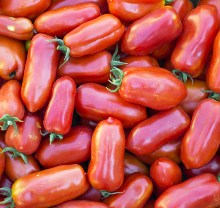 SEEDS - Tomato 'San Marzano' Heirloom Seeds TSM