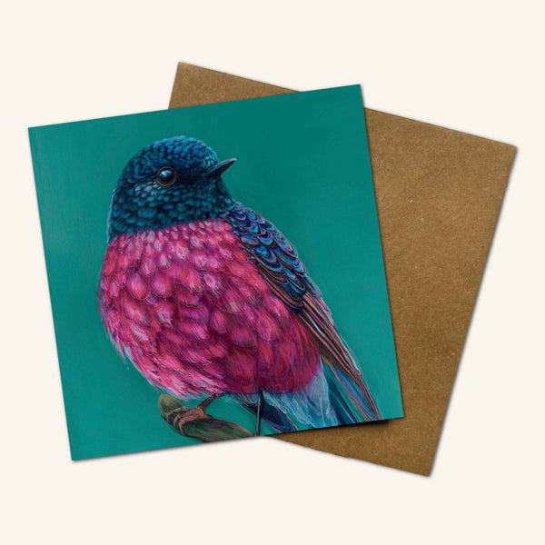 Australian Birds - Roy the Pink Robin Greeting Card RYP 💚