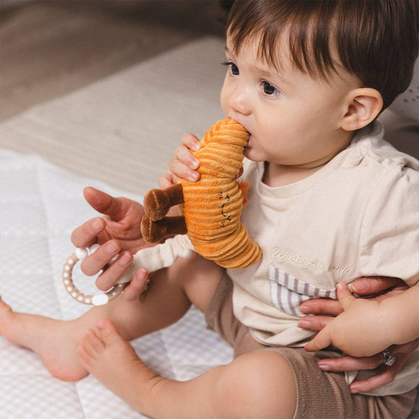 2 Pack Mini Market Brunch Stroller Toys - Coffee & Croissant SCC