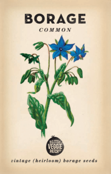 SEEDS - Borage 'Common' Heirloom seeds BCH