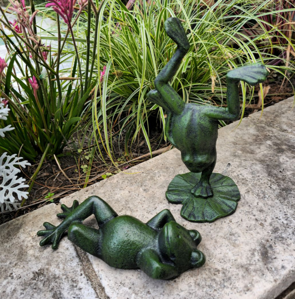 Frog - Assorted FLH