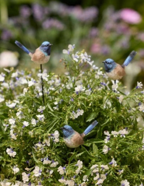 Fairy Wren on stick FWS