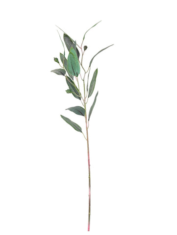 Greenery - Gum Leaves GGL