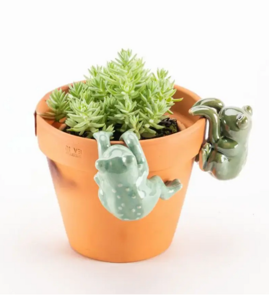 Pot Sitter - Frog