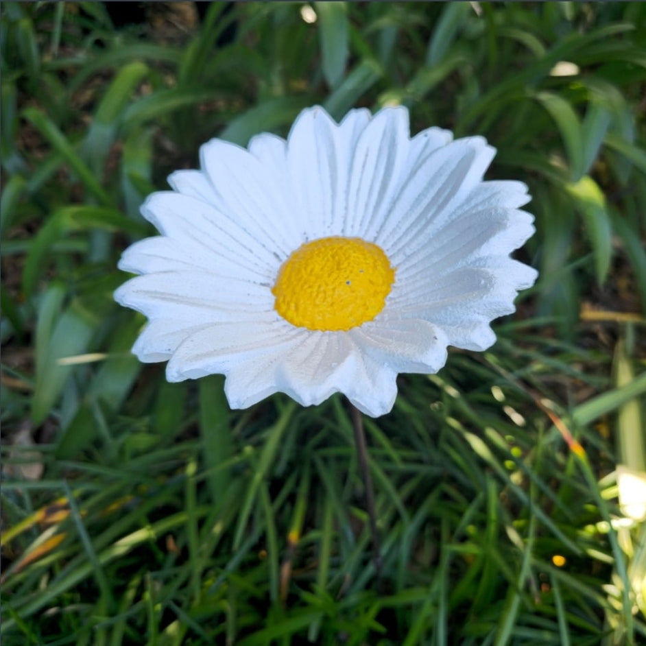 Cast Iron Flower assorted CFA