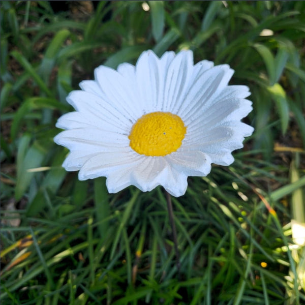 Cast Iron Flower assorted CFA