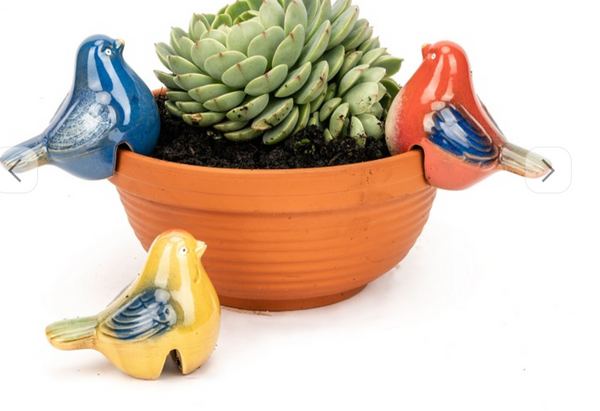 Bird Pot Sitter - assorted